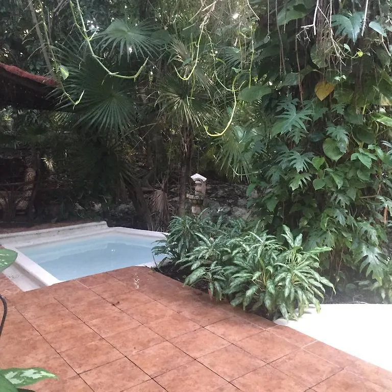 Villa Ensueno Playa del Carmen